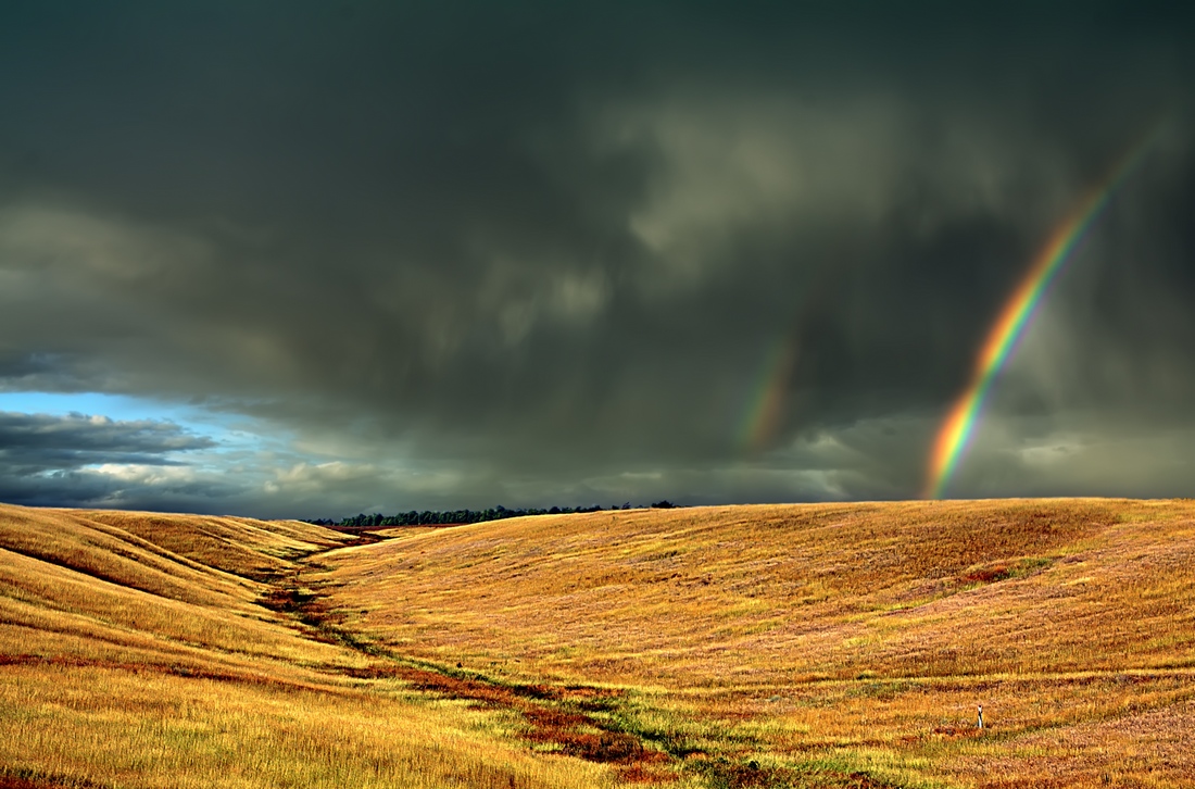 photo "Summery contrast" tags: landscape, summer