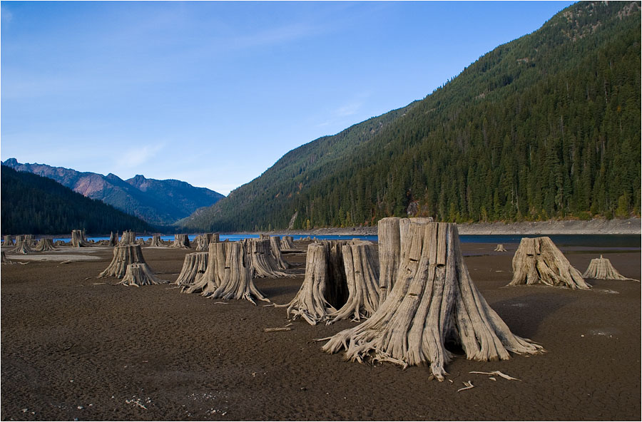 photo "Herd" tags: landscape, mountains, water