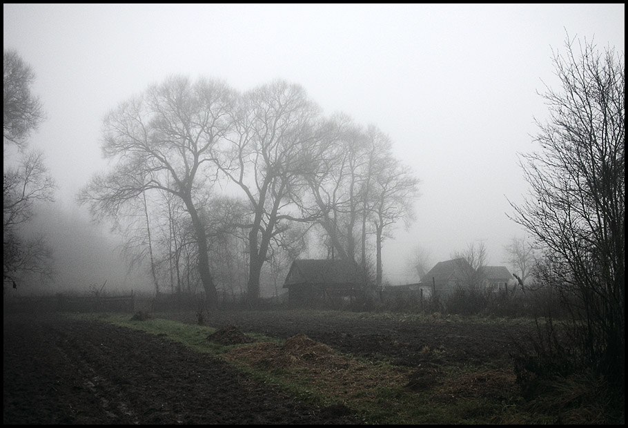 photo "November, fog" tags: landscape, autumn