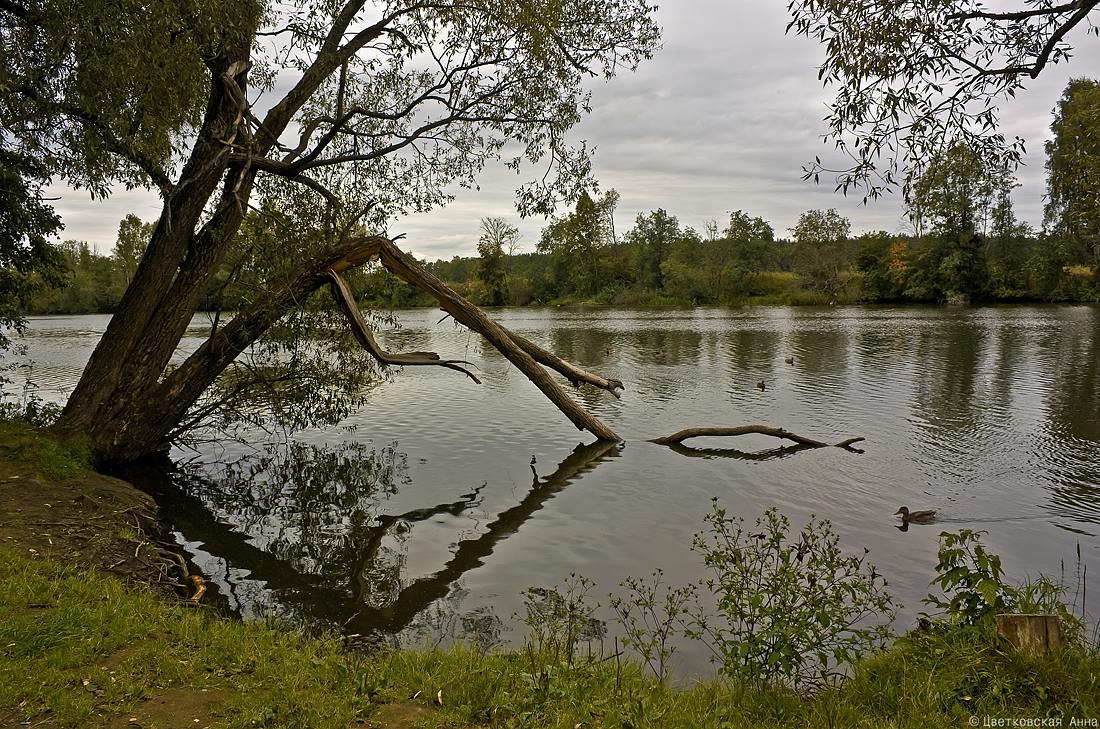 фото "осени мотивы.." метки: пейзаж, вода, осень, отражения