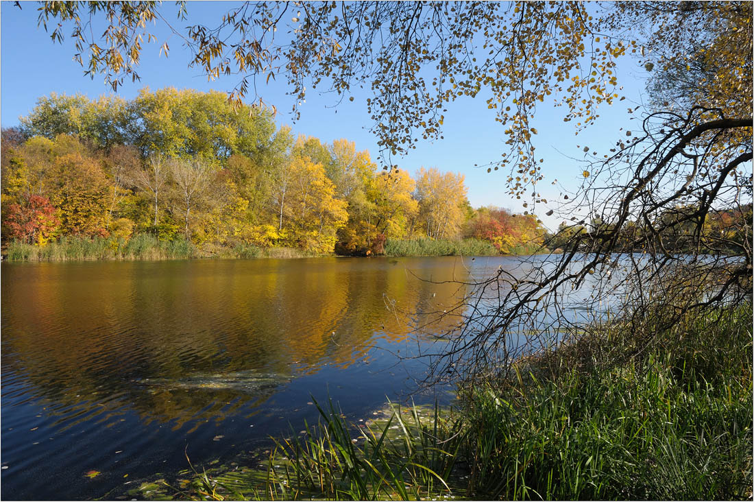 photo "***" tags: landscape, autumn