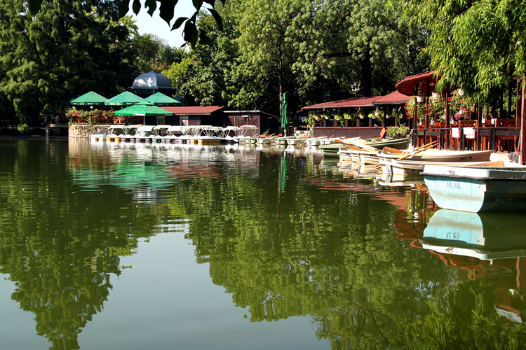 photo "Early morning" tags: landscape, summer, water