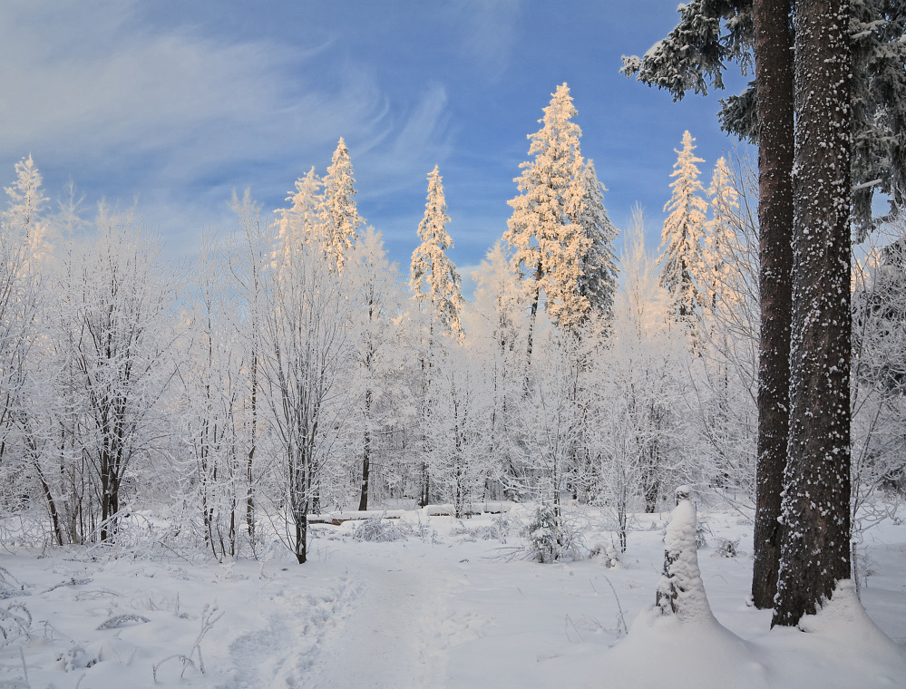 фото "Бело-синий мороз" метки: пейзаж, зима