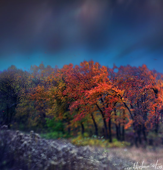 photo "My October" tags: landscape, autumn