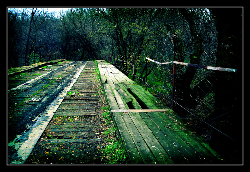 фото "Дорога в Silent Hill" метки: пейзаж, лес, осень