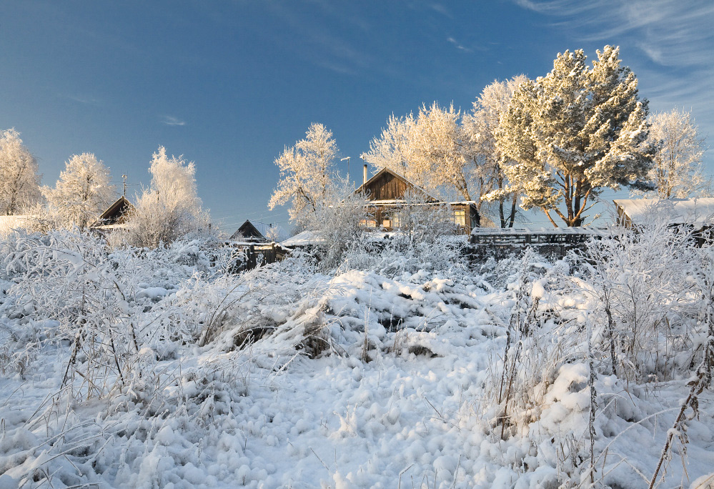 фото "Сквозь снежные заросли" метки: пейзаж, зима