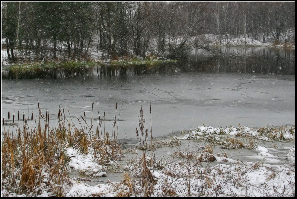 photo "The beginning of winter. Snowing." tags: landscape, water, winter