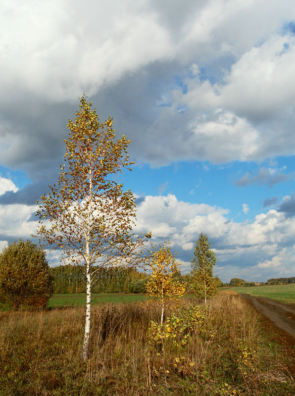 photo "***" tags: landscape, autumn