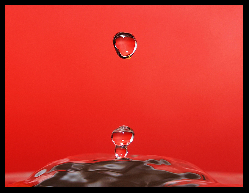 photo "UpSplash" tags: macro and close-up, abstract, 