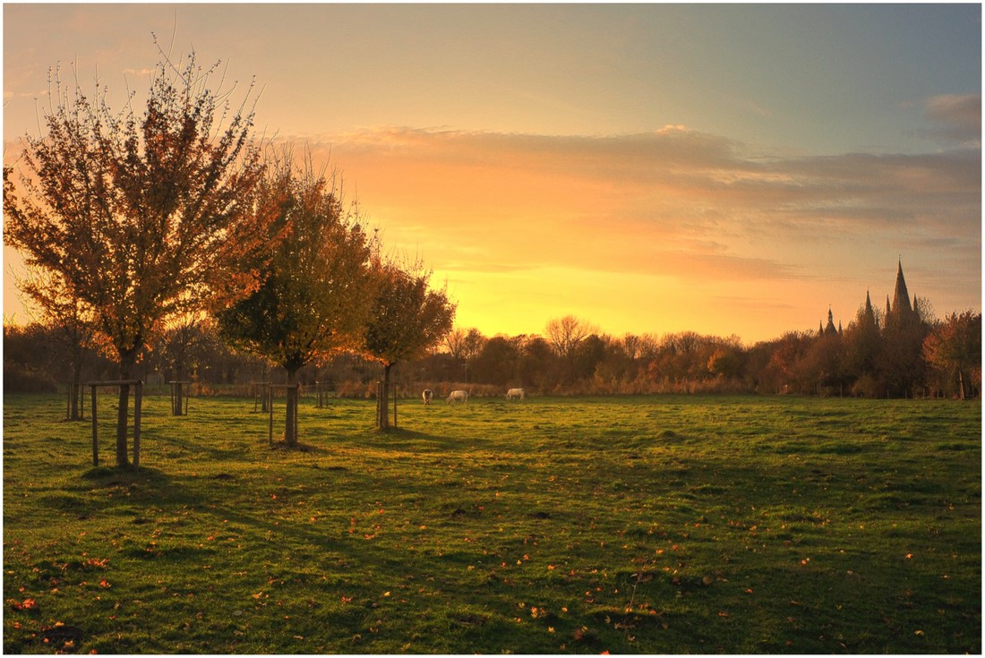 photo "***" tags: landscape, autumn