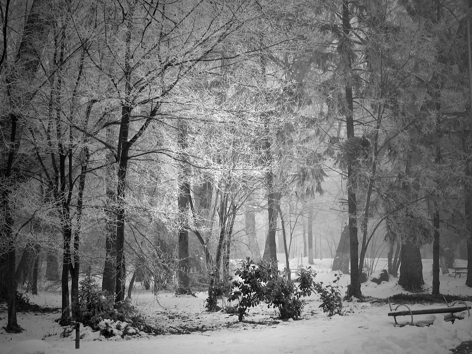 фото "***" метки: пейзаж, черно-белые, 