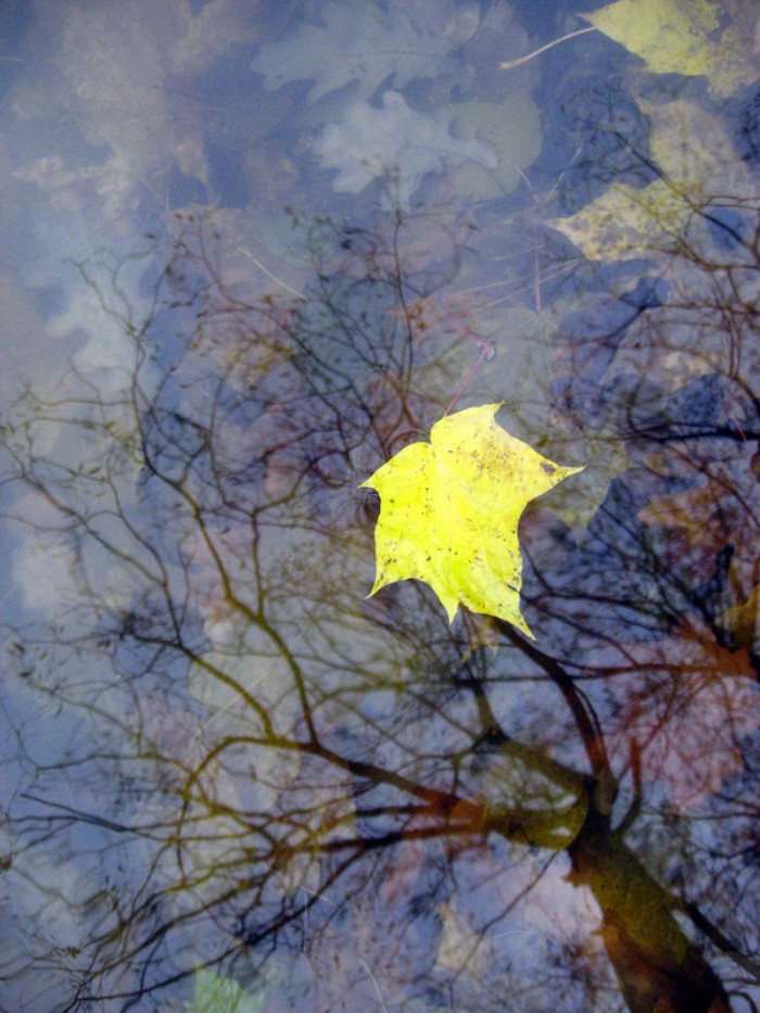 photo "осень,природа,вода,отражение" tags: nature, misc., 