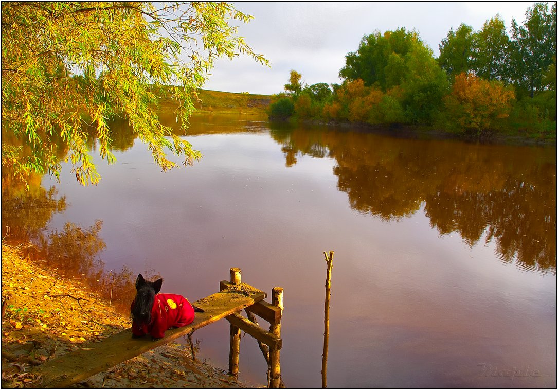 photo "***" tags: landscape, autumn, water