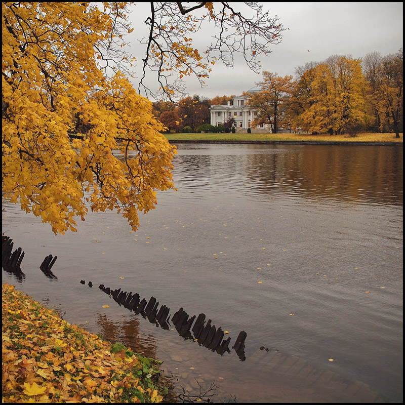 photo "***" tags: landscape, autumn