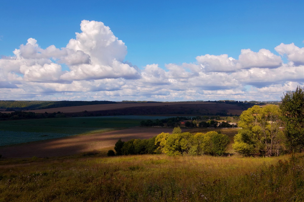 photo "***" tags: landscape, summer