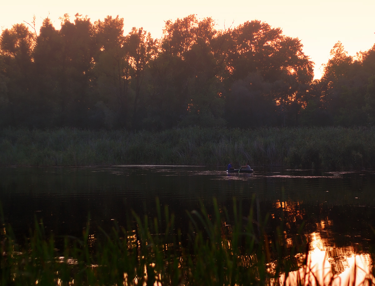 photo "***" tags: landscape, summer