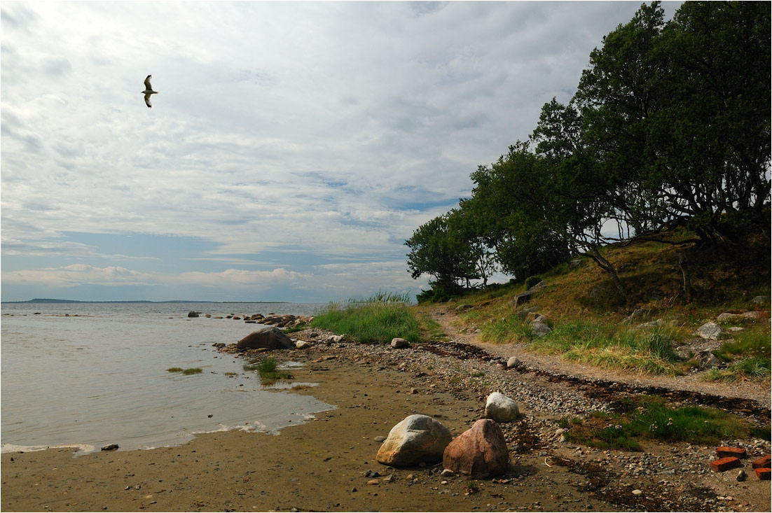 photo "***" tags: landscape, summer