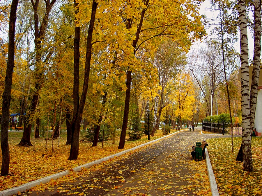 photo "*****" tags: landscape, autumn