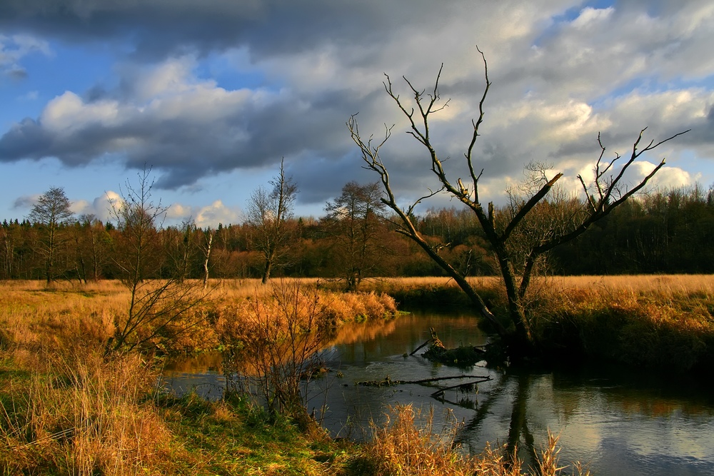 photo "***" tags: landscape, autumn