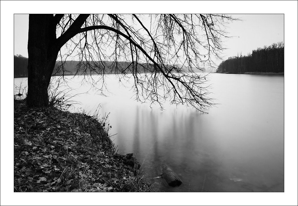 photo "***" tags: landscape, autumn, water