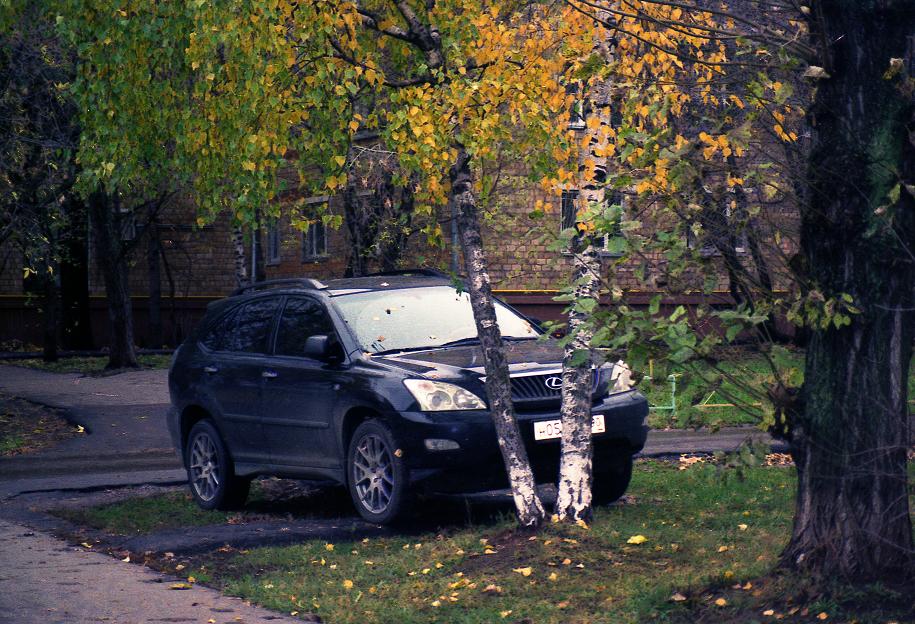 фото "...втроём не скучно..." метки: юмор, 