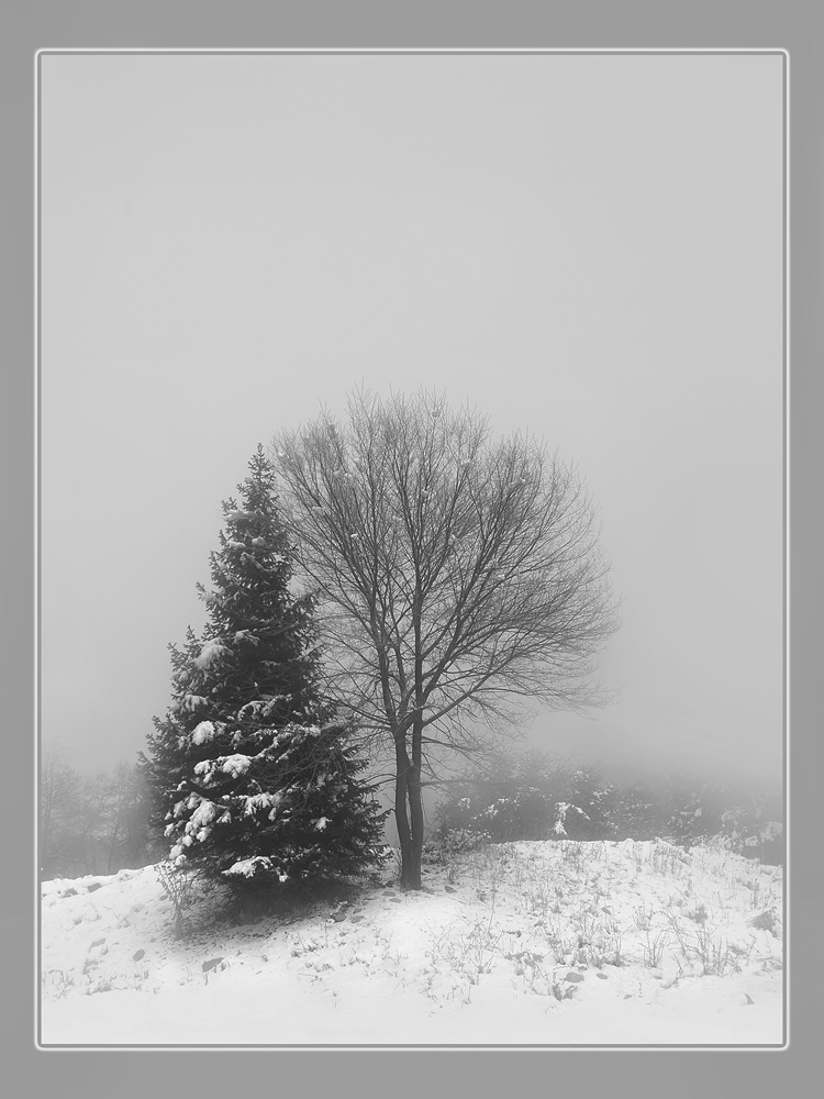 photo "***" tags: landscape, winter