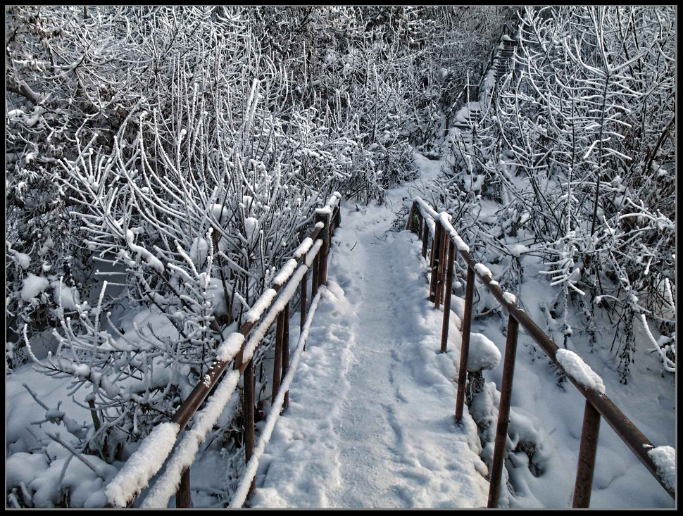 фото "Тропинка в Зиму..." метки: пейзаж, зима