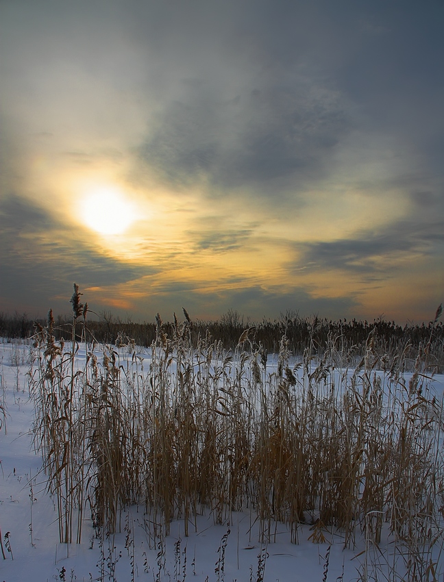 photo "***" tags: landscape, winter