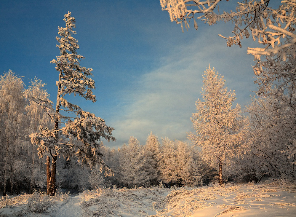 фото "Морозная зарисовка" метки: пейзаж, зима, лес
