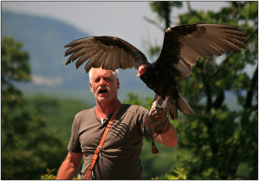 photo "Waft of wings" tags: genre, nature, wild animals