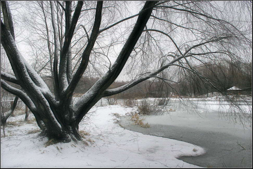 photo "beginning of winter" tags: landscape, water, winter