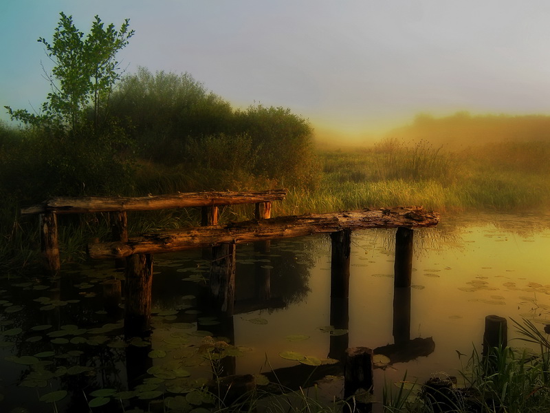фото "Летнее утро" метки: пейзаж, закат