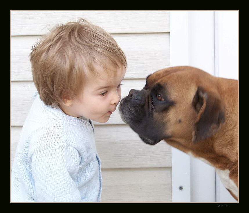 photo "***" tags: portrait, nature, children, pets/farm animals