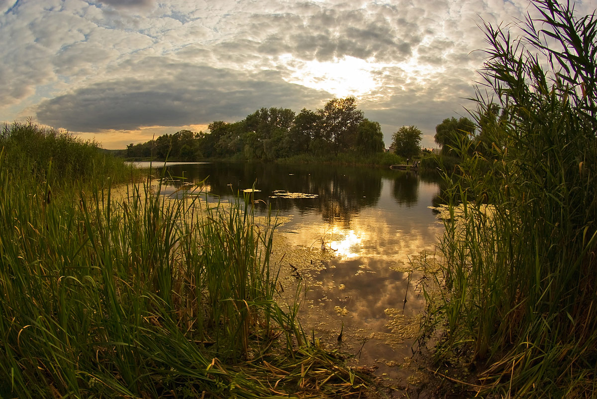 photo "***" tags: landscape, summer