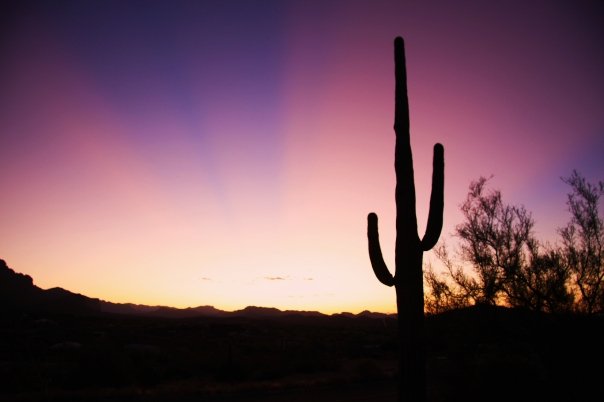 photo "Arizona Sunrise" tags: landscape, sunset