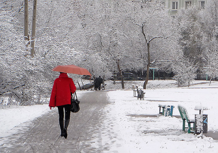 фото "Lady in red" метки: жанр, 