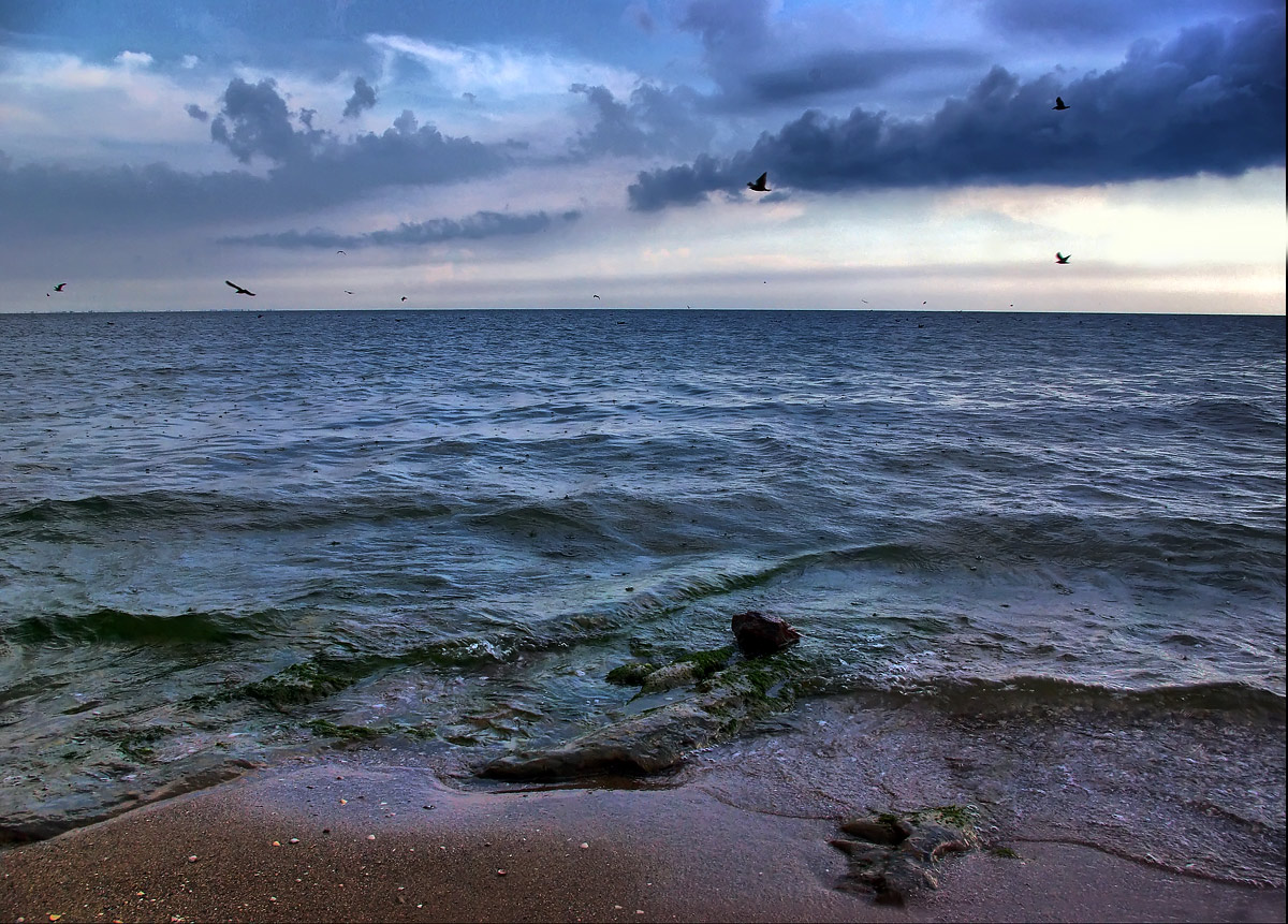 photo "***" tags: landscape, summer
