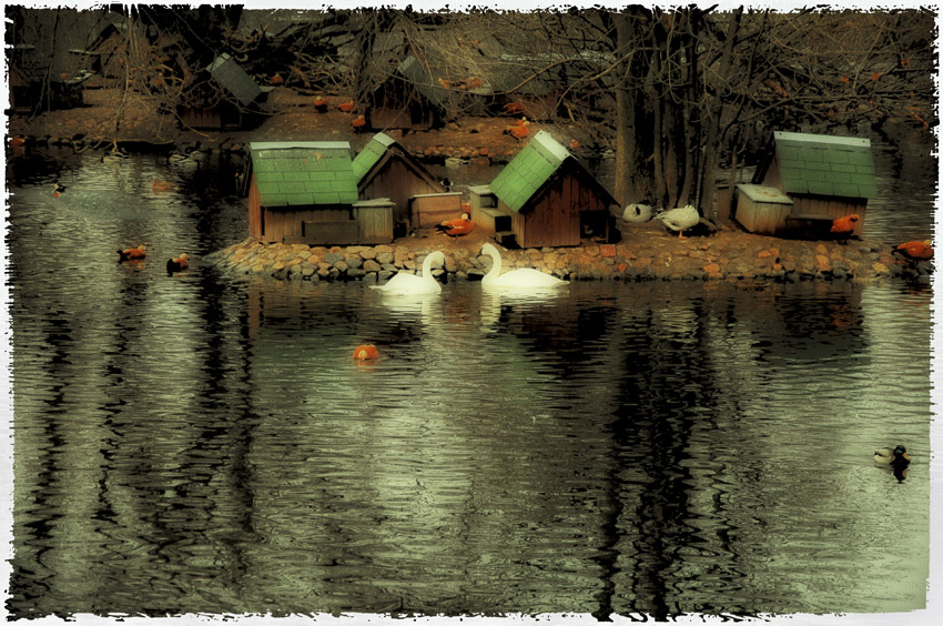 photo "***" tags: landscape, water