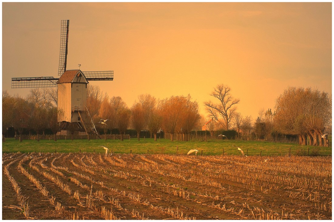 photo "***" tags: landscape, autumn