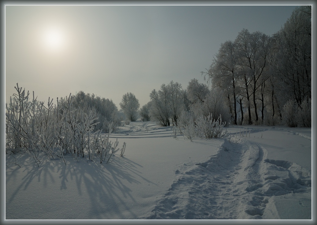 photo "Snow path" tags: landscape, forest, winter