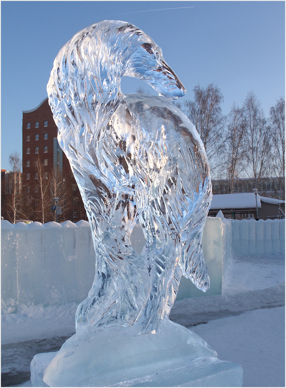 photo "[Ice figures] [XIV]" tags: reporting, misc., 