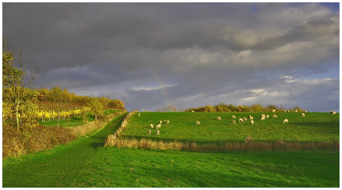 photo "***" tags: landscape, autumn