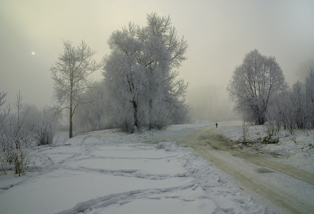 photo "***" tags: landscape, forest, winter