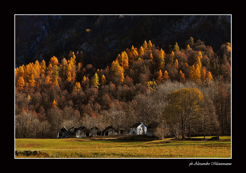 фото "autunno 1" метки: пейзаж, горы