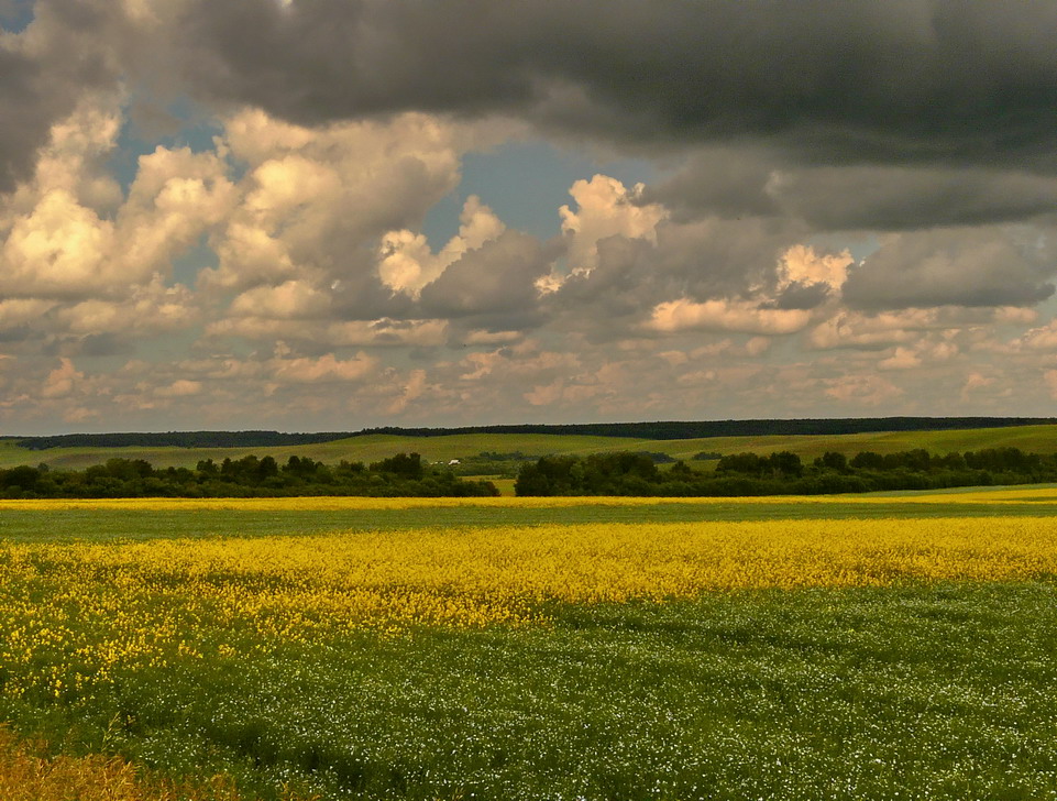 photo "***" tags: landscape, summer