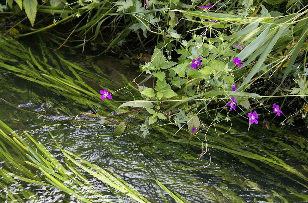 photo "***" tags: landscape, water