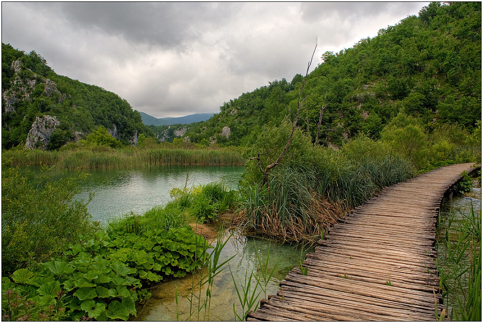 photo "Planked footway of Plitvice-4" tags: landscape, travel, Europe, mountains