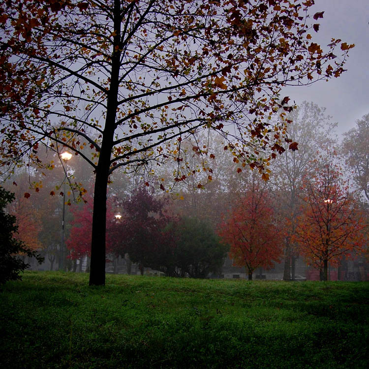 фото "Autumn light landscape" метки: пейзаж, 
