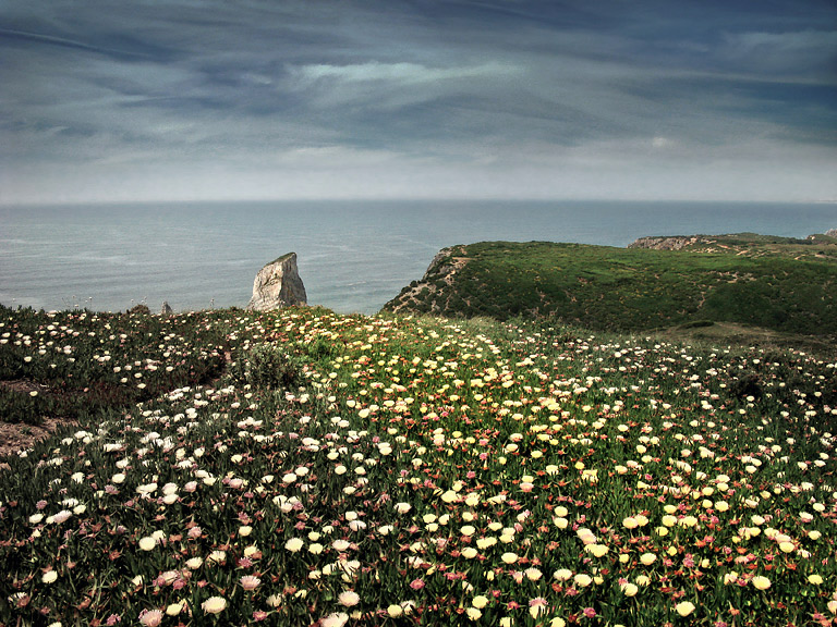 photo "rock & flowers" tags: landscape, travel, Europe, water