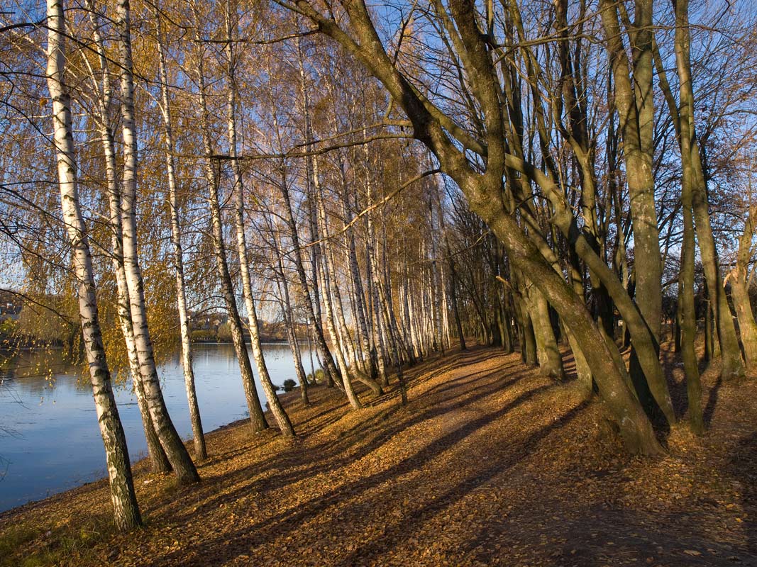 photo "***" tags: landscape, autumn